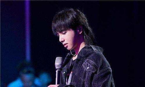 娱乐吃瓜华晨宇是谁啊,娱乐吃瓜界的风云人物